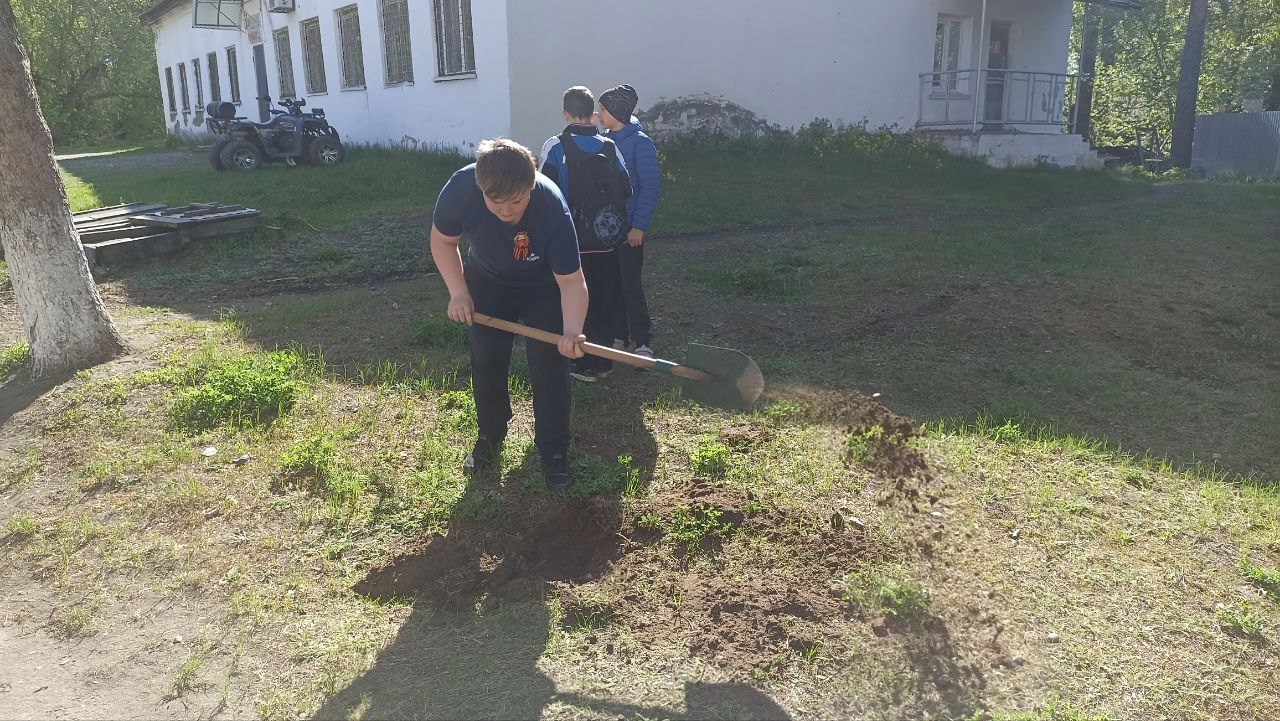 Саженцы Победы..