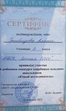 Районный конкурс одарённых младших школьников &amp;quot; Юный исследователь &amp;quot;.